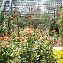 우성상사 이미지