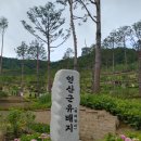 창덕궁 인정전과 갑자사화, 궁궐문화원 모임