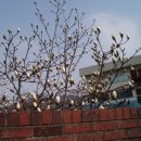 조리읍사무소앞 이미지