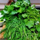 잣나무집정원 이미지