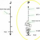 집시