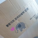모찌블랑