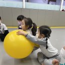 용인대 지노태권도 이미지