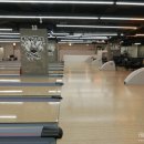 몬스터볼볼링장