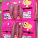 (판매종료)영광&영암&해남 꿀고구마 특가판매!!! 이미지