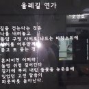 들꽃연가 이미지