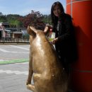 진안마이돈 이미지