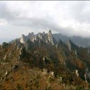 하룻강아지 이미지