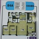 에브리데이에듀