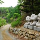 횡성자연휴양림 이미지