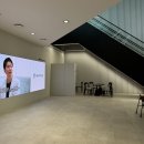 신사역 치아미백 레브치과 원데이 W gel 관리 방법 - 내돈내산 후기 ( 추천인 할인 )