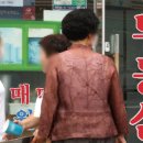 별 부동산 이미지