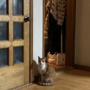 잔다냥 이천점 이미지