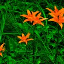 연담마을 이미지