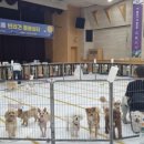 댕댕 쉼터 이미지