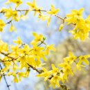 하이퍼짐 이미지