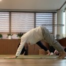 웰 라이프 건강요리(야간) | 노는법과 함께한 엄마랑 단둘이 첫 모녀여행 후기① 웰에이징해보기 1일차 싱잉볼 차명상 요가 참깨비...