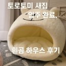 토미하우스 | [샴고양이 일상] 토로·토미 새 하우스 입주 완료! 테무에서 득템한 흰곰 하우스🐻‍❄️