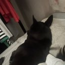 크라운호프 부천고강점 이미지