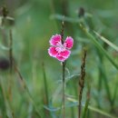 기흥로 116번 이미지