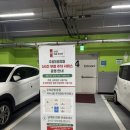 [W12.셀프 부케] 남대문시장 풍년꽃집, 에덴화원 셀프 부케 제작 후기