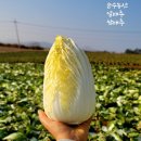 순수농산 이미지
