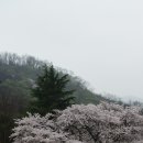 창덕중학교 이미지