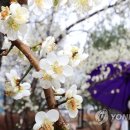 단비공원 이미지