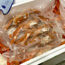 대영수산 | 영덕 울진 후포항 수율 좋은 홍게 가성비 맛집 전국 택배 대영수산