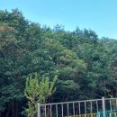 별마루민박