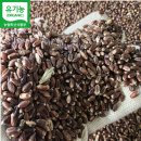 [땅끝해남댁님]의 유기농 아리흑 검은 통밀쌀 이미지