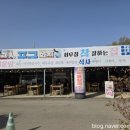 곰소포구횟집