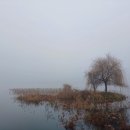 배방읍 고속철역길 이미지