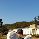 가을노을B 이미지