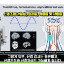 [일반] 보라색 자외선 램프로 바꾸는 이유 이미지