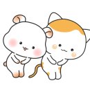 나라공인중개사사무소 이미지
