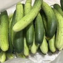 민숙농장 이미지