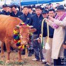 정주영농장 이미지