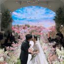 카라 | 마곡 보타닉파크웨딩 아이폰스냅｜카라홀 촬영 후기