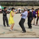 신태인초등학교 이미지