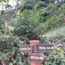 청량산 고랭지 산사과