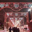 벌이네민박 | 화천 산천어축제 2026 개막식 후기 얼음낚시·백지영·배아현 공연·주차·숙소 꿀팁