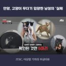 그레이스 고양이 병원 이미지