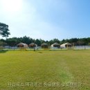 애견파라독스펜션