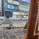 동백카츠 상남점