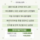 라미에스테틱