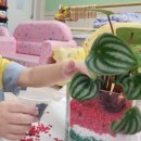 남목초교병설유치원 이미지