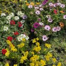 홍제농장 이미지