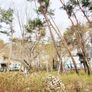 윤아축사 | 오늘의 글감 조각/마음/1박 2일 친정 엄마와의 여행후기