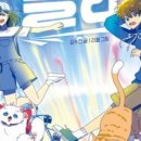 라임고양이 이미지